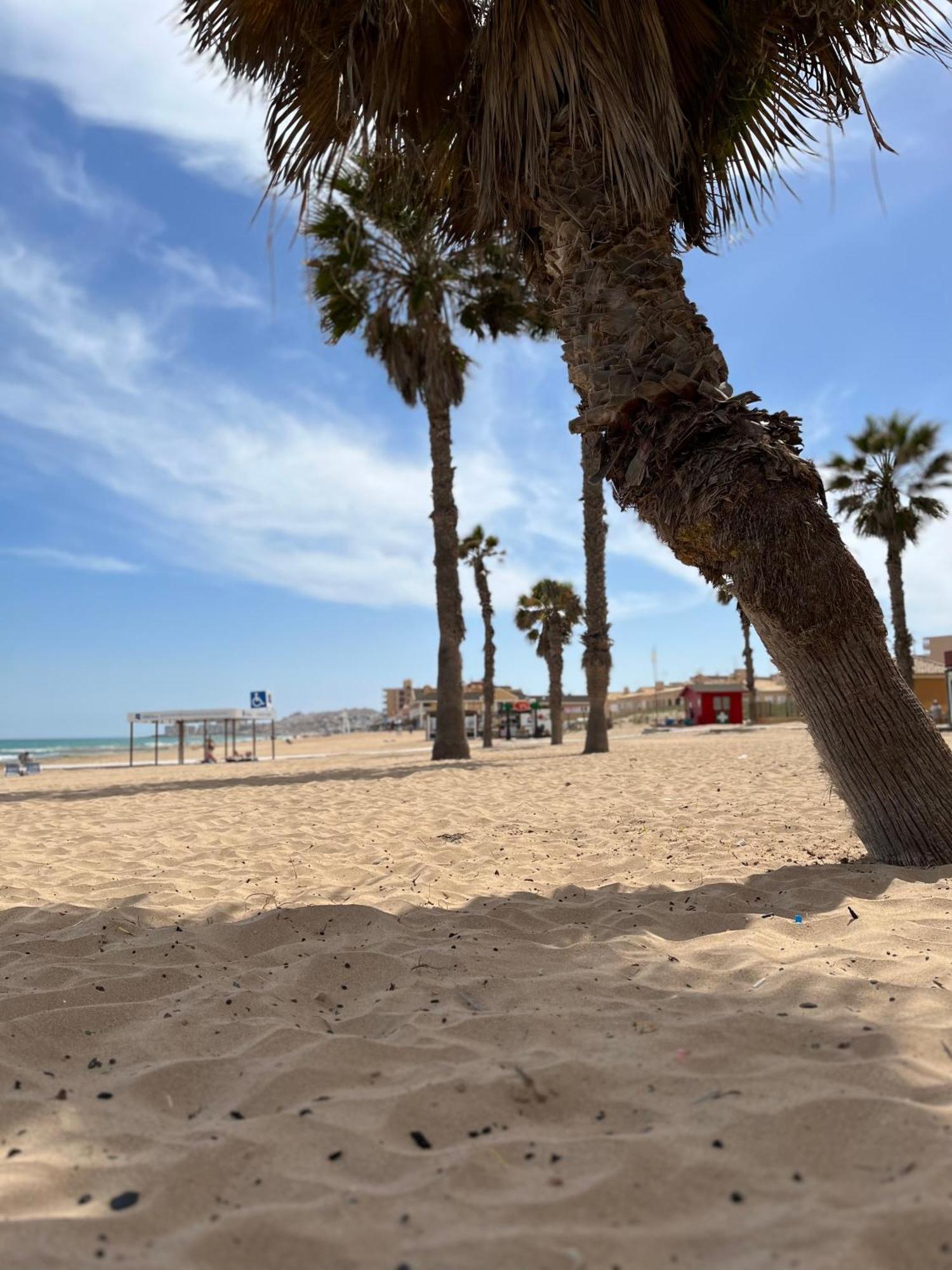 Apartamento Sol De Mar, La Mata La Mata  Exterior foto